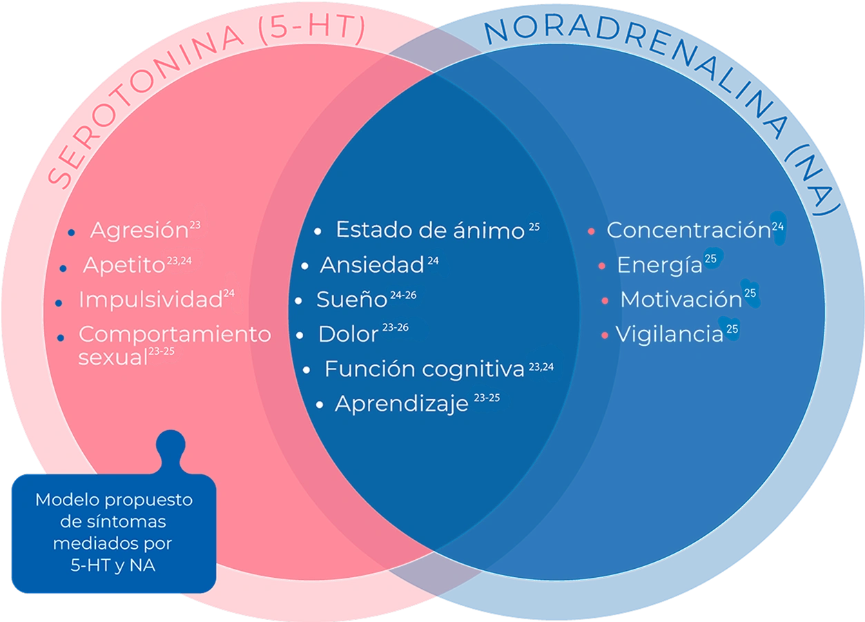 Imagen de Modelo hipotético de neurocomportamiento usando bases de datos de animales principalmente